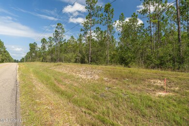 Herman_Ladner_Road_Lot_4-3