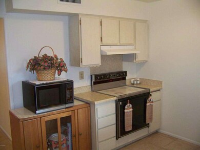 10963 W Santa fe Dr unit 32, Sun City, AZ 85351 - photo 3