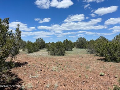 230 Camp Rd, Ash Fork, AZ 86320 - photo 2