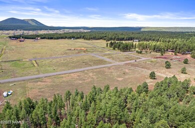 DJI_0021