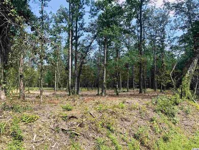 TBD Tract C S Carolina 19, Loris, SC 29569 - photo 4