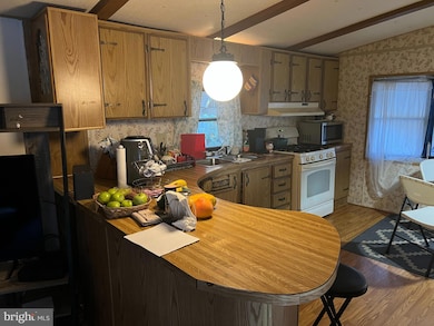 576 W Forest Grove Rd, Vineland, NJ 08360 - photo 3