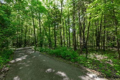 124 Foleys Grade, Lowell, MI 49331 - photo 2