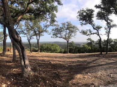 10702 Nina Ridge, San Antonio, TX 78255 - photo 5