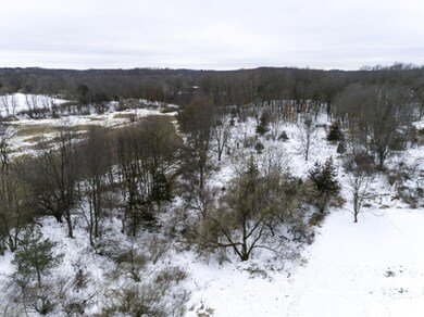 6233 Alaska Ave SE, Alto, MI 49302 - photo 5