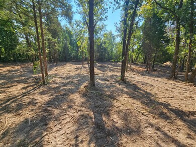 0 S Pennsylvania St unit 21094498, Malakoff, TX 75148 - photo 5