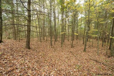 00 West Ln, Wilton, NY 12866 - photo 6