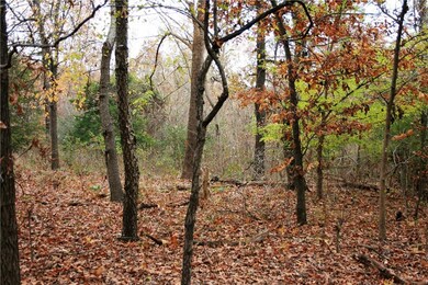 14857 E Highway 264, Lowell, AR 72745 - photo 5