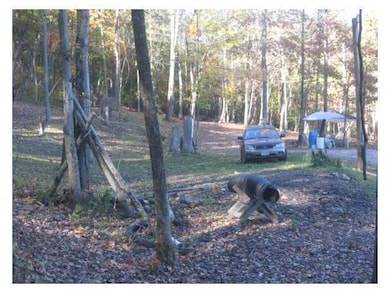 11163 Gore-Greendale Rd, Logan, OH 43138 - photo 2