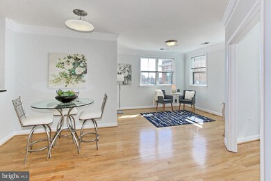 Dominion Heights unit 410, Arlington, VA 22207 - photo 5