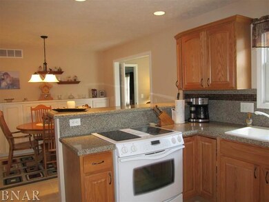 2 Oliver Ct, Downs, IL 61736 - photo 7