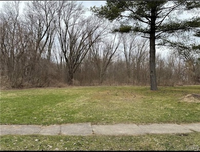 207 S Mechanic St, Carthage, NY 13619 - photo 3