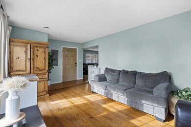 5-web-or-mls-_DSC0584