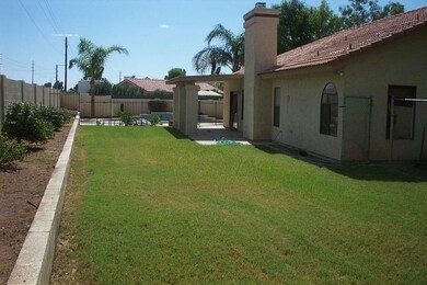 Back yard