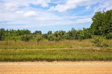 VL 104th Ave, Allegan, MI 49010 - photo 6