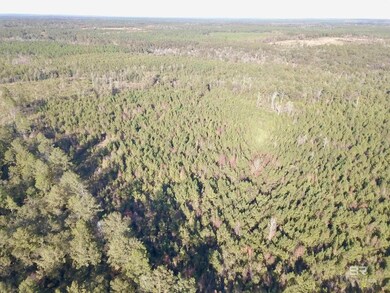 72510 State Highway 59, Little River, AL 36550 - photo 5