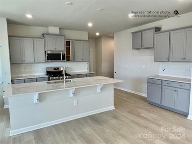 165 Pampas Place unit BF5 225, Statesville, NC 28625 - photo 2