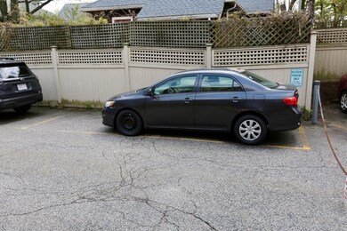 55A Saint Paul St unit 4, Brookline, MA 02446 - photo 6