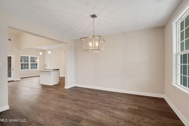 008-16250 Centerline Roper Loop-MLS Vers
