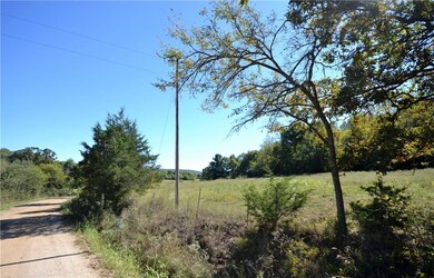 13691 Hogeye Rd, Prairie Grove, AR 72753 - photo 4