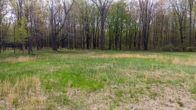 13254 Wilson Rd, New Buffalo, MI 49117 - photo 6