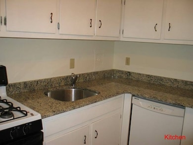 32 Juniper St unit 101, Brookline, MA 02445 - photo 3