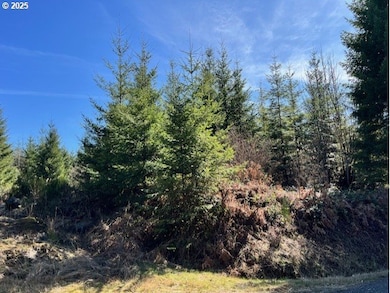 0 John Lee Rd, Buxton, OR 97109 - photo 5