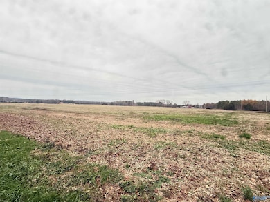 32 Acres Hogan Rd, Falkville, AL 35622 - photo 3
