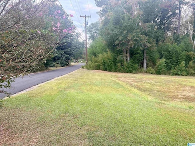 76 4th Ave, Lincoln, AL 35096 - photo 4