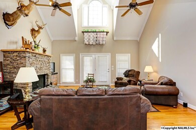 The open living room features cathedral ceilings.  Lots of natural light throughout the house.