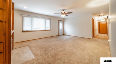 1017 North St, Lincoln, IL 62656 - photo 2