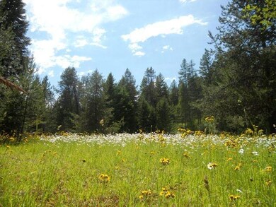 Meadow and trees