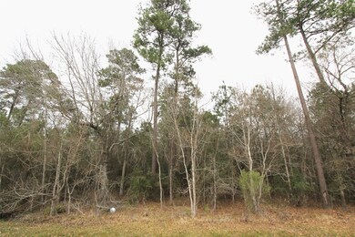 0 Canyon Ct unit 11654481, Conroe, TX 77385 - photo 2