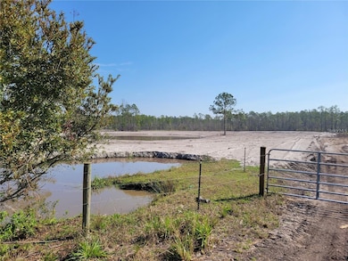 1051 Omega Ranch Rd, New Smyrna Beach, FL 32168 - photo 4