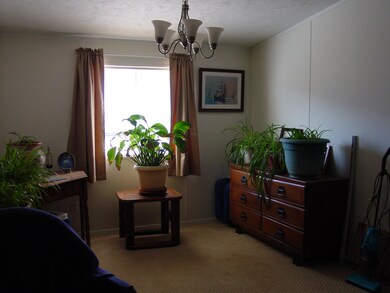 Photos 008