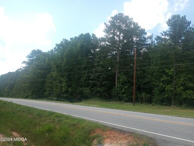 7159 Thomaston Rd, Macon, GA 31220 - photo 4