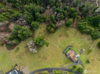 25 Lot Wilson Point Estates, South Bend, WA 98586 - photo 2