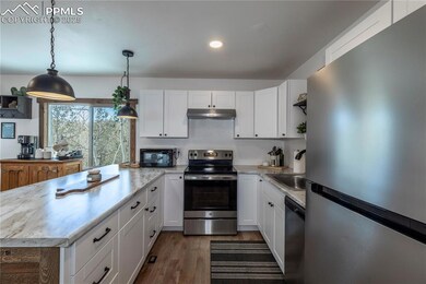 577 Horseshoe Dr, Divide, CO 80814 - photo 6