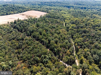 17.33 AC Shale Pit Dr, Falling Waters, WV 25419 - photo 5