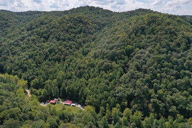 312 Laurel Fork, Ricetown, KY 41364 - photo 3