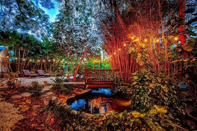 Back yard pond at night