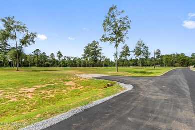 Lot 6 Pine Ridge Ln, Lucedale, MS 39452 - photo 4