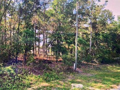 684 W Pitler Place, Citrus Springs, FL 34434 - photo 4