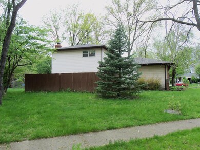 Side View