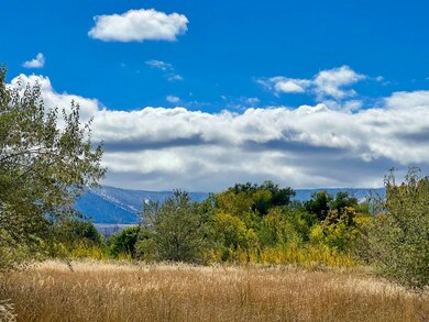 48933 Gaia Dr, Mesa, CO 81643 - photo 6