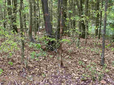 114 Osela Ln, Louisburg, NC 27549 - photo 3