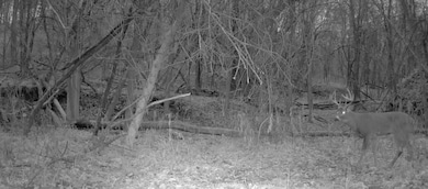 0 420th Ave unit NST6752930, Menomonie, WI 54751 - photo 6