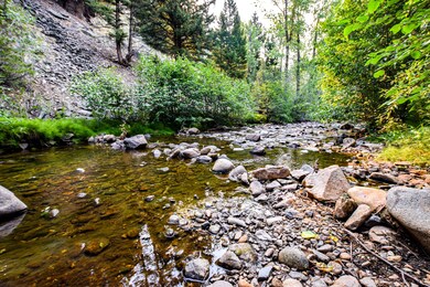 34 Creek View