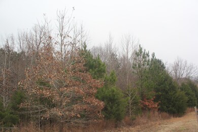 88 Bennett Cir, Byhalia, MS 38611 - photo 2