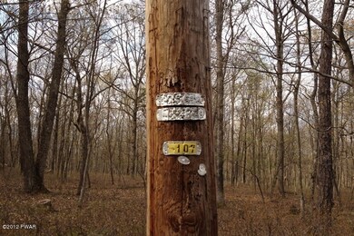 156 Mountain Top Rd, Lackawaxen Township, PA 18435 - photo 6